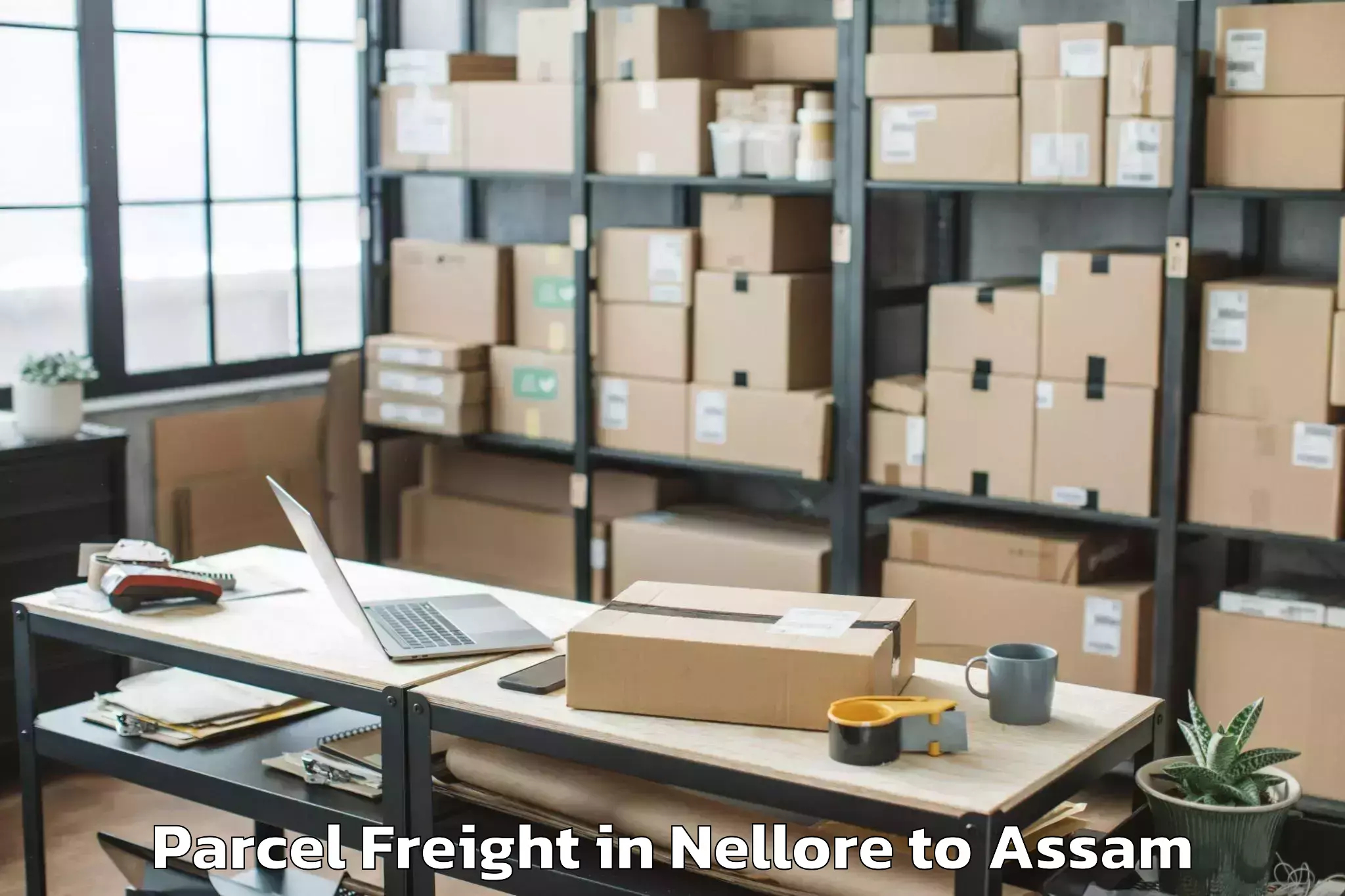 Book Nellore to Palasbari Parcel Freight